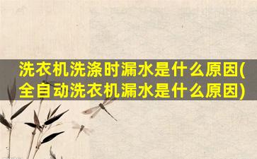 洗衣机洗涤时漏水是什么原因(全自动洗衣机漏水是什么原因)