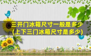 三开门冰箱尺寸一般是多少(上下三门冰箱尺寸是多少)