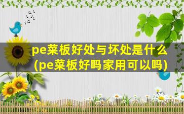 pe菜板好处与坏处是什么(pe菜板好吗家用可以吗)