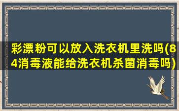 彩漂粉可以放入洗衣机里洗吗(84消毒液能给洗衣机杀菌消毒吗)