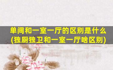 单间和一室一厅的区别是什么(独厨独卫和一室一厅啥区别)