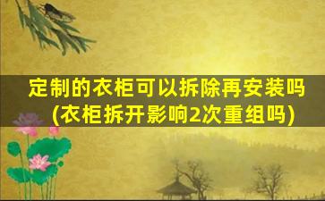 定制的衣柜可以拆除再安装吗(衣柜拆开影响2次重组吗)
