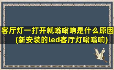 客厅灯一打开就嗡嗡响是什么原因(新安装的led客厅灯嗡嗡响)