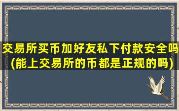 交易所买币加好友私下付款安全吗(能上交易所的币都是正规的吗)