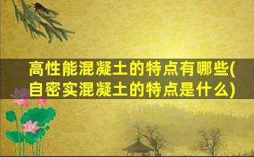 高性能混凝土的特点有哪些(自密实混凝土的特点是什么)