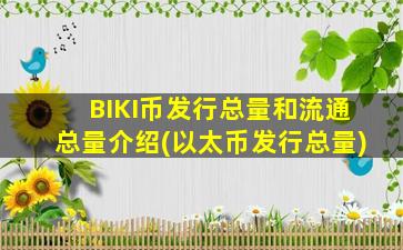 BIKI币发行总量和流通总量介绍(以太币发行总量)