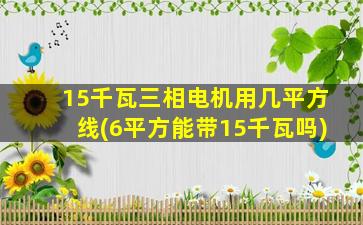 15千瓦三相电机用几平方线(6平方能带15千瓦吗)