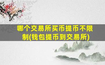 哪个交易所买币提币不限制(钱包提币到交易所)