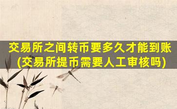交易所之间转币要多久才能到账(交易所提币需要人工审核吗)