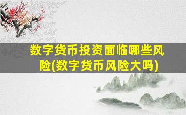 数字货币投资面临哪些风险(数字货币风险大吗)