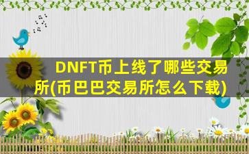 DNFT币上线了哪些交易所(币巴巴交易所怎么下载)