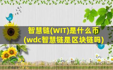 智慧链(WIT)是什么币(wdc智慧链是区块链吗)