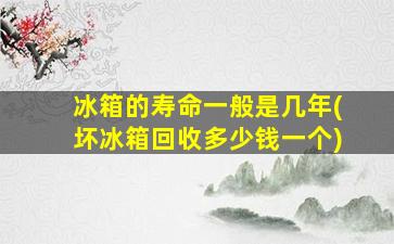 冰箱的寿命一般是几年(坏冰箱回收多少钱一个)