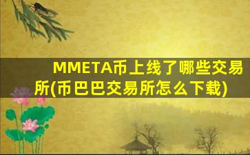 MMETA币上线了哪些交易所(币巴巴交易所怎么下载)