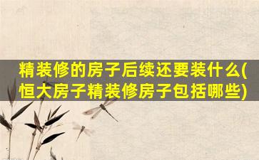 精装修的房子后续还要装什么(恒大房子精装修房子包括哪些)