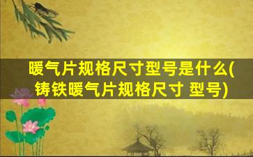 暖气片规格尺寸型号是什么(铸铁暖气片规格尺寸 型号)