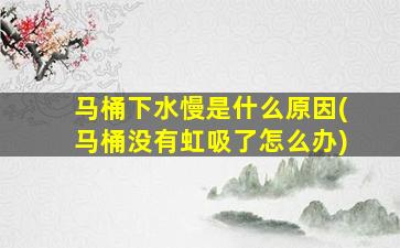 马桶下水慢是什么原因(马桶没有虹吸了怎么办)