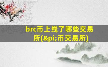 brc币上线了哪些交易所(π币交易所)