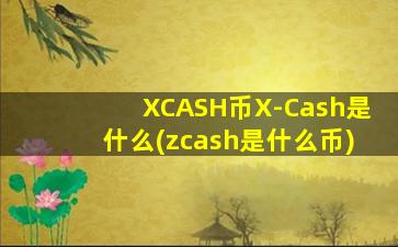 XCASH币X-Cash是什么(zcash是什么币)