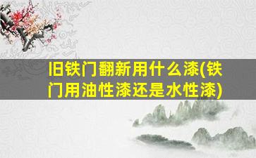旧铁门翻新用什么漆(铁门用油性漆还是水性漆)