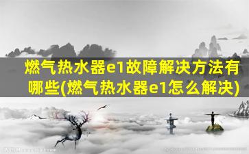 燃气热水器e1故障解决方法有哪些(燃气热水器e1怎么解决)