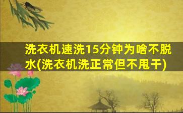 洗衣机速洗15分钟为啥不脱水(洗衣机洗正常但不甩干)