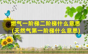 燃气一阶梯二阶梯什么意思(天然气第一阶梯什么意思)
