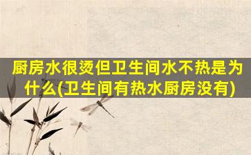 厨房水很烫但卫生间水不热是为什么(卫生间有热水厨房没有)