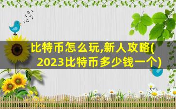 比特币怎么玩,新人攻略(2023比特币多少钱一个)