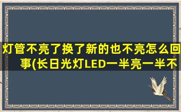 灯管不亮了换了新的也不亮怎么回事(长日光灯LED一半亮一半不亮)