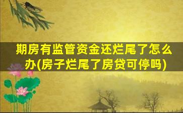 期房有监管资金还烂尾了怎么办(房子烂尾了房贷可停吗)