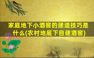 家庭地下小酒窖的建造技巧是什么(农村地底下自建酒窖)