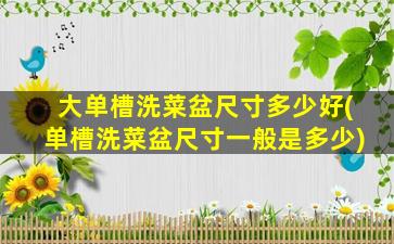 大单槽洗菜盆尺寸多少好(单槽洗菜盆尺寸一般是多少)