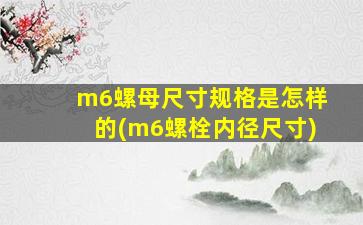 m6螺母尺寸规格是怎样的(m6螺栓内径尺寸)