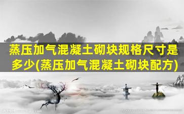 蒸压加气混凝土砌块规格尺寸是多少(蒸压加气混凝土砌块配方)
