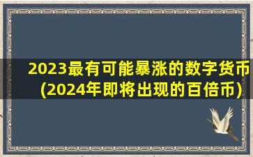 2023最有可能暴涨的数字货币(2024年即将出现的百倍币)