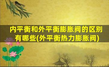 内平衡和外平衡膨胀阀的区别有哪些(外平衡热力膨胀阀)