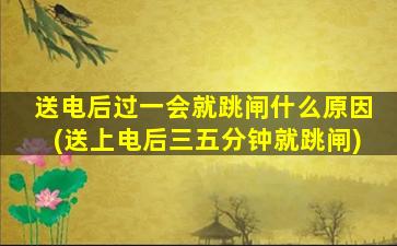 送电后过一会就跳闸什么原因(送上电后三五分钟就跳闸)
