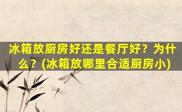 冰箱放厨房好还是餐厅好？为什么？(冰箱放哪里合适厨房小)