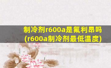 制冷剂r600a是氟利昂吗(r600a制冷剂最低温度)
