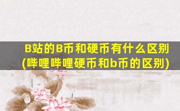 B站的B币和硬币有什么区别(哔哩哔哩硬币和b币的区别)