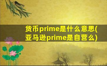 货币prime是什么意思(亚马逊prime是自营么)