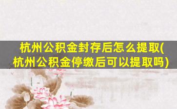 杭州公积金封存后怎么提取(杭州公积金停缴后可以提取吗)