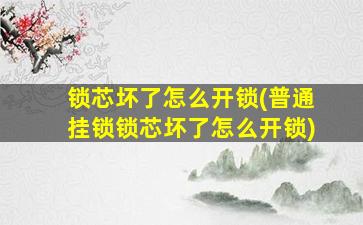 锁芯坏了怎么开锁(普通挂锁锁芯坏了怎么开锁)