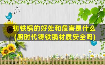 铸铁锅的好处和危害是什么(厨时代铸铁锅材质安全吗)