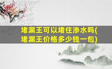 堵漏王可以堵住渗水吗(堵漏王价格多少钱一包)