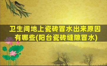 卫生间地上瓷砖冒水出来原因有哪些(阳台瓷砖缝隙冒水)