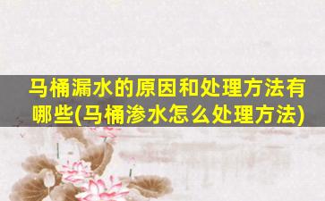 马桶漏水的原因和处理方法有哪些(马桶渗水怎么处理方法)