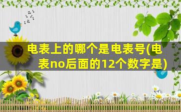 电表上的哪个是电表号(电表no后面的12个数字是)