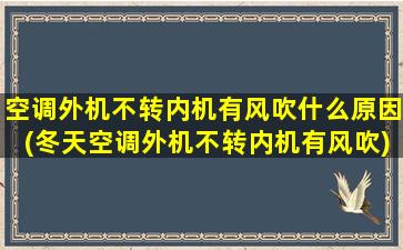 空调外机不转内机有风吹什么原因(冬天空调外机不转内机有风吹)